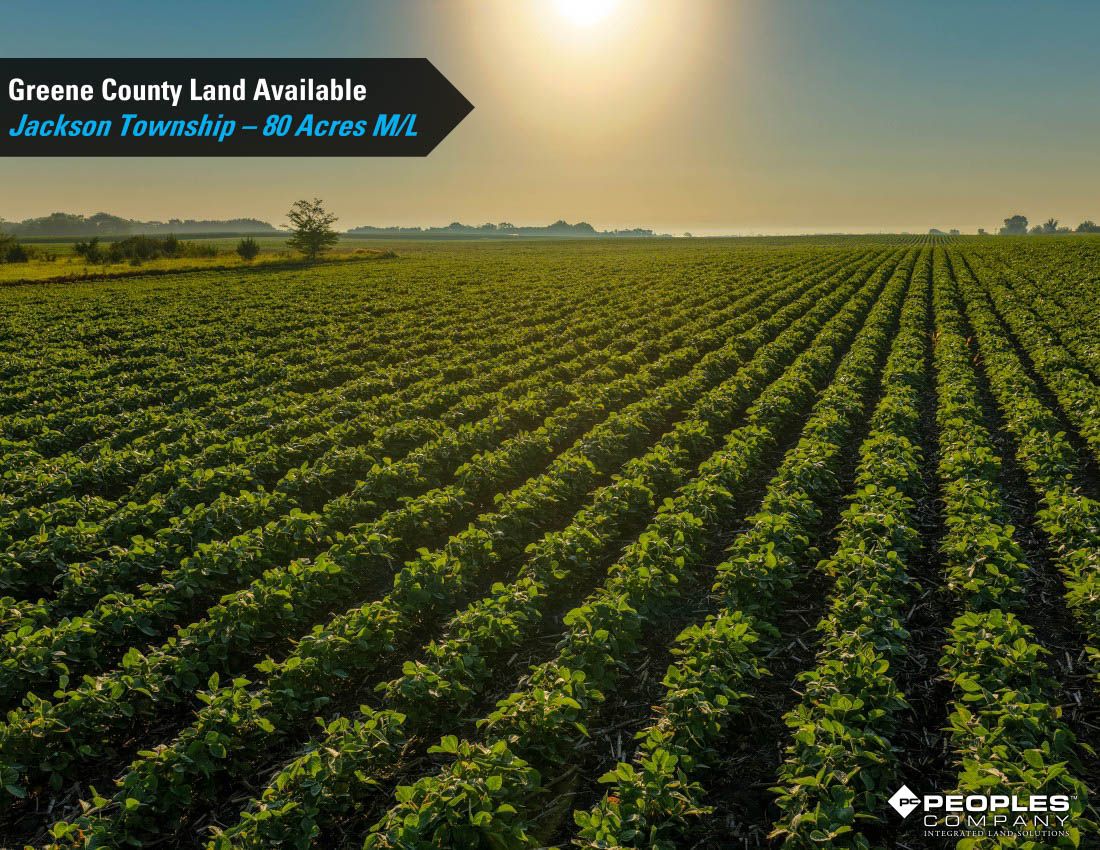 Listing Photo: Greene-County-Iowa-Farmland-Available-80-Acres-Scranton-Jefferson-19706 (9)